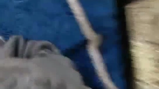 欧美日韩免费一区中文字幕">国产免费久久