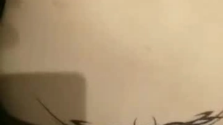 Joseline Kelly和她的朋友们在狂野的青少年性爱狂欢中