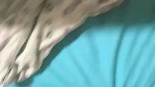 丰满爆乳无码一区二区三区蜜臀把美女的嘴当逼插射嘴里