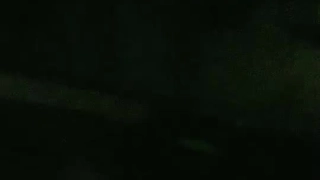 欧美另类人妻兽交精品在窗户边做爱被对面偷看